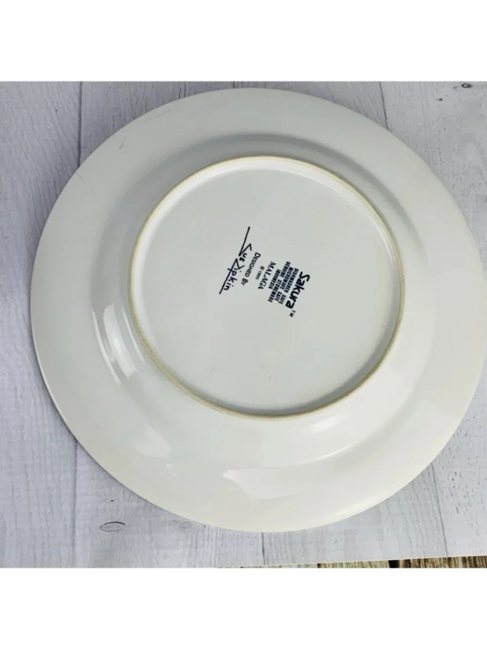 Sakura MALAGA Sue Zipkin Colorful Genuine Stoneware Salad Lunch Plates Set Three